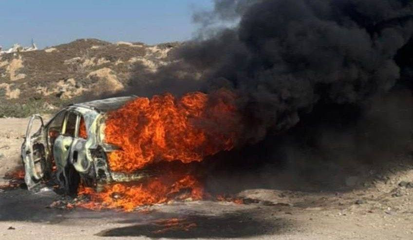 صورة الخبر
