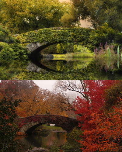 2 images.png