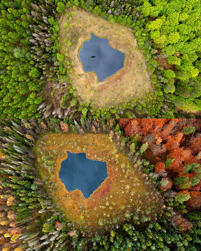 2 images (3).png