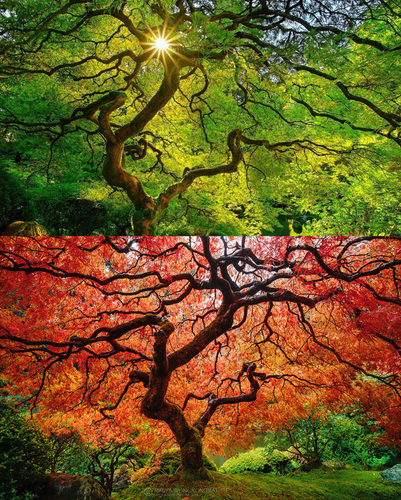 2 images (2).png