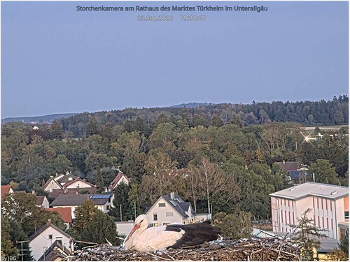 MWSnap081.jpg
