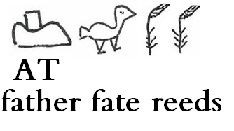 AD NAM GI4 GI4.jpg