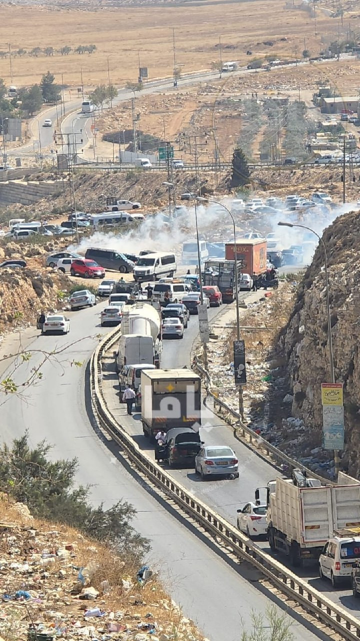 صورة الخبر