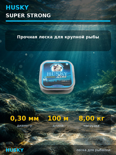 13204.jpg