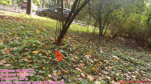 6ab3d5585f17f.jpg