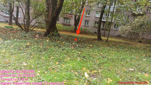 6ab3d55602039.jpg