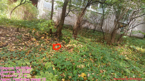 6ab3d54fed67e.jpg