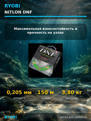 127970.jpg