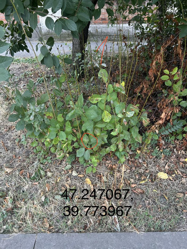 6ab3d0319fa3f.jpg
