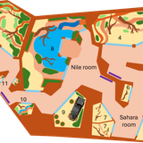 Sahara indoor 2