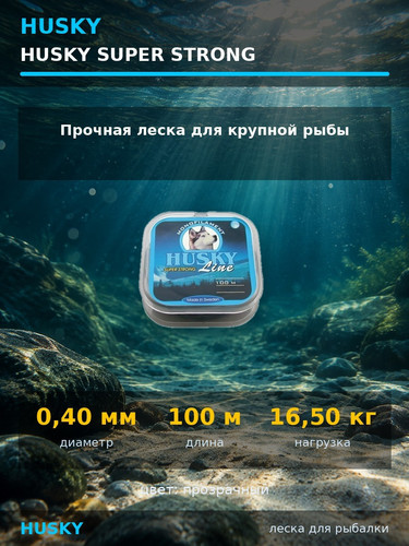 13025.jpg