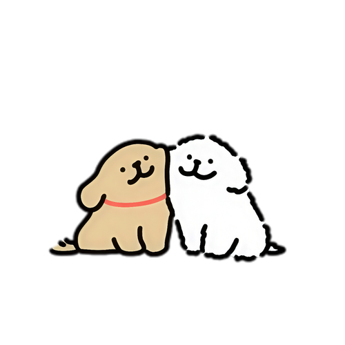1000013169.png