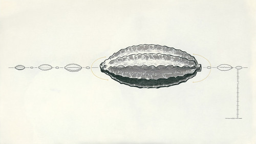 merck thumbnail jpg ae4042c2 889a 4c7e 9a68 5f51f2e1d3c3.jpg