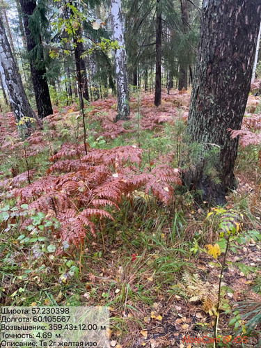 6aa79f81022e9.jpg