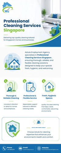 Professional Cleaning Services Singapore for Quality Home Care.jpg