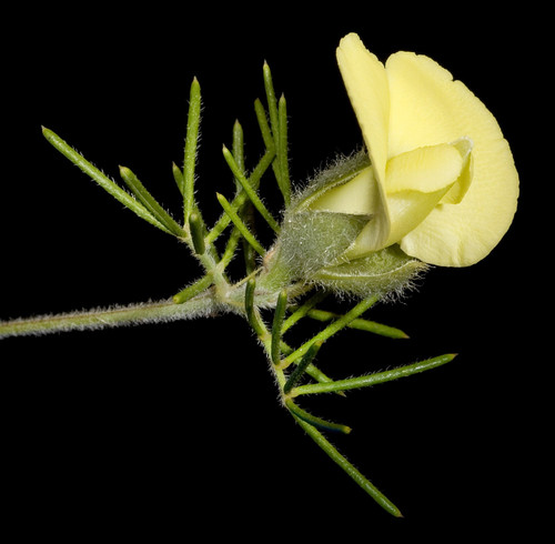 mmimg ecdf18fd829c5b5e.jpg
