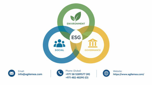 UAE ESG reporting.jpg