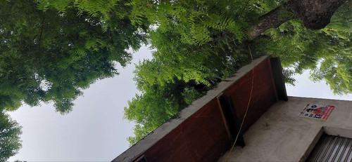 7e43f3406e0d.jpg