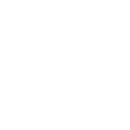 grenade.png