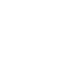 weapon.png