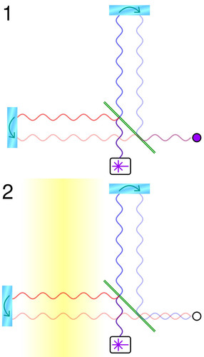 mmimg b9ef1fea1071dd77.jpg