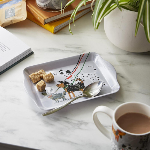 Ulster Weavers Dog Days Tray Scatter Grey sn2.jpg