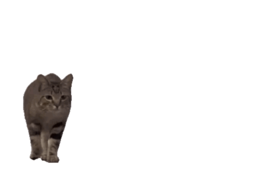 img 1688738426279ba65e86agy1hdarg3k091g20oo0ii1l3.gif