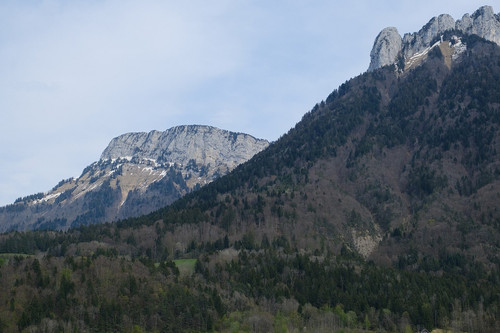 mmimg 42b328940f0d1264.jpg