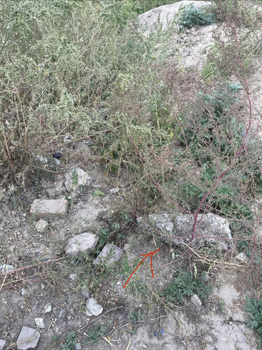 6aa770c69547a.jpg