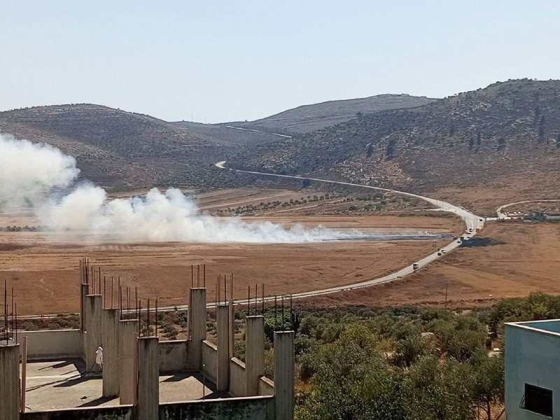 صورة الخبر