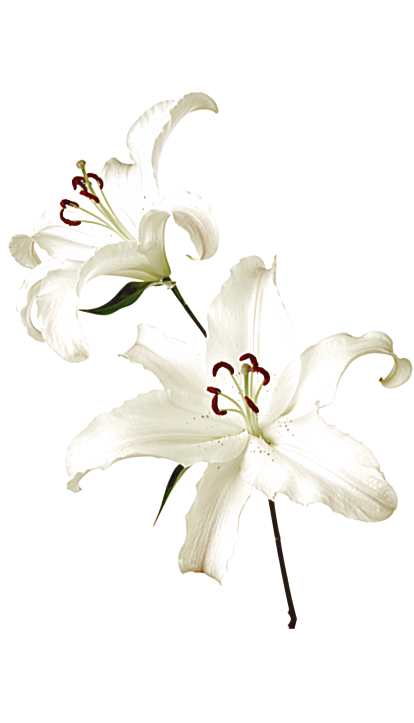 1000121286.png