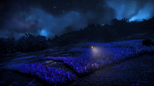 NMS 2026 09 14 13 53 28 1.png