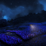 NMS 2026 09 14 13 53 28 1