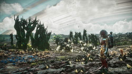 NMS 2026 09 14 11 13 02 1.png