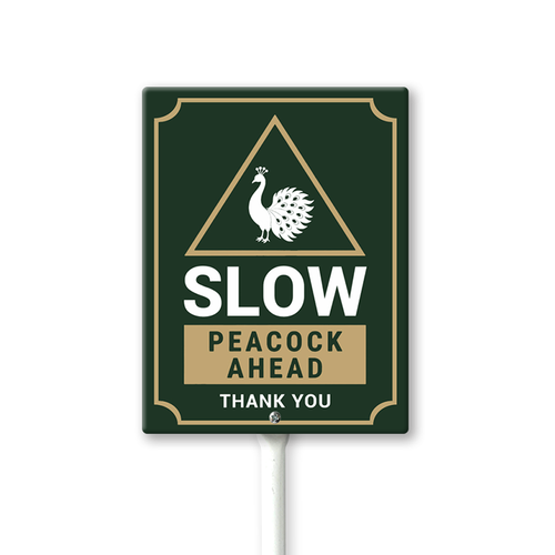 Z4.png