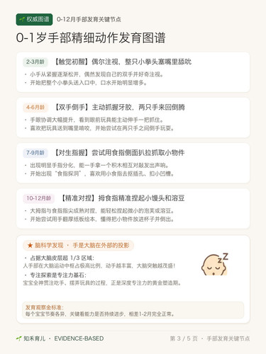 3 手脑发育图谱 融合版.jpg