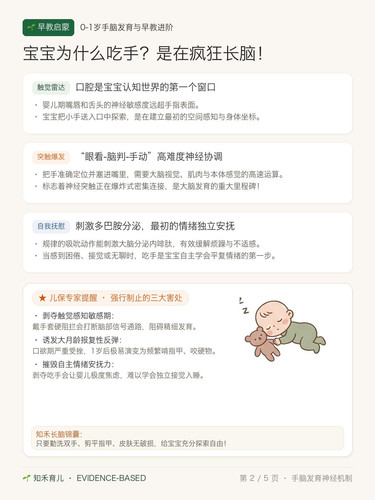 2 吃手神经机制 融合版.jpg