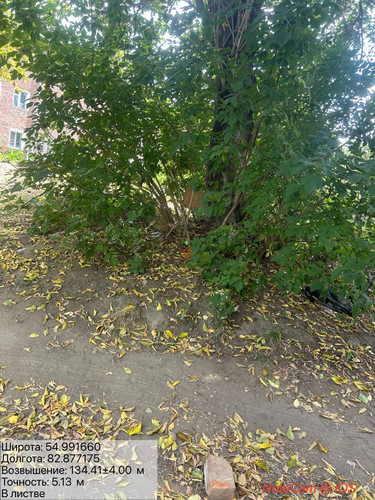 6aa7b18156639.jpg