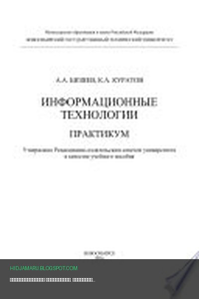 Обложка книги «Информационные технологии. Практикум» - Алексей Бизяев, Константин Куратов