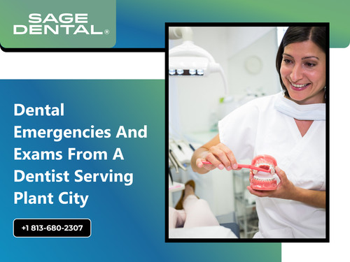 Dental Emergencies and Exams from a Dentist Serving Plant City.jpg