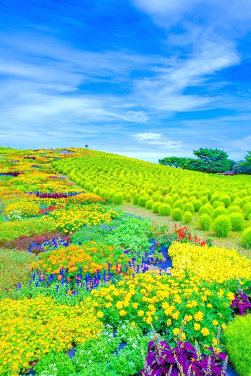 ff0633f68e489db8e6f7d721f3be3e00