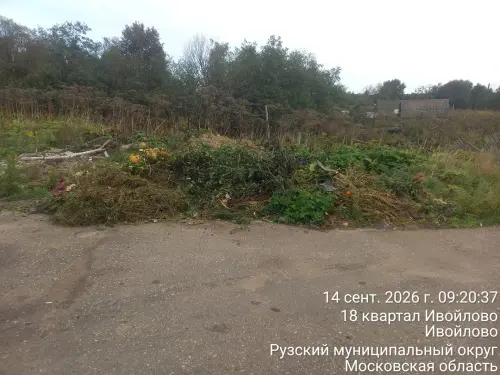 photo.4