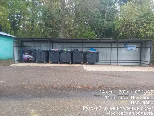 photo.4