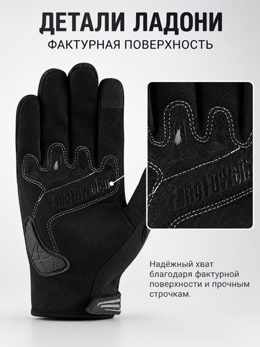 05 palm.2