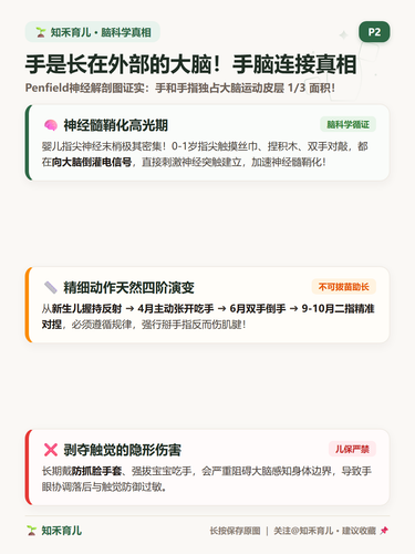 14 P2 手脑发育 手部神经与脑连接秘密.2