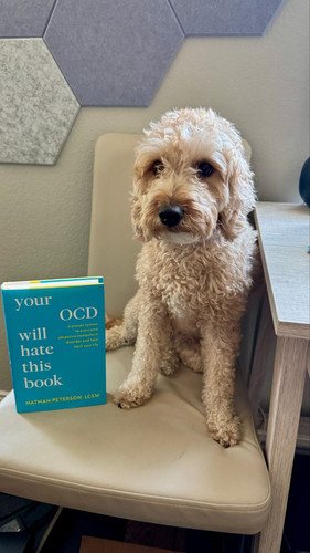 What is the Best Self Help Book for OCD.jpg
