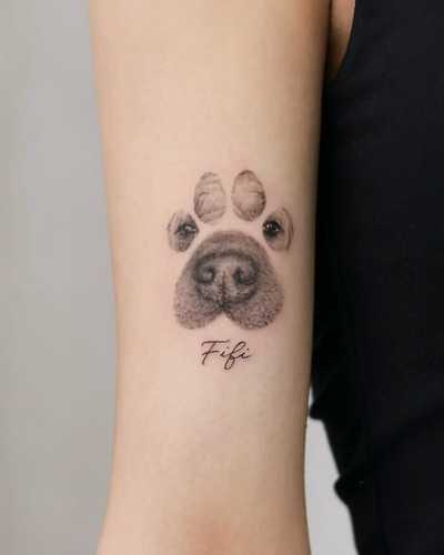 16 6aa3624679373 700 bordered.jpg