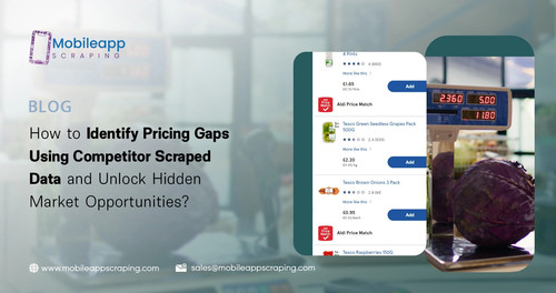 How to Identify Pricing Gaps Using Competitor Scraped Data and Unlock Hidden Market Opportunities.jpg