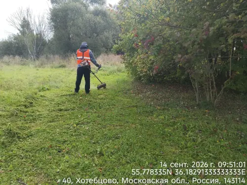 photo.webp