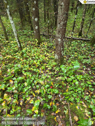 6aa77b3822804.jpg